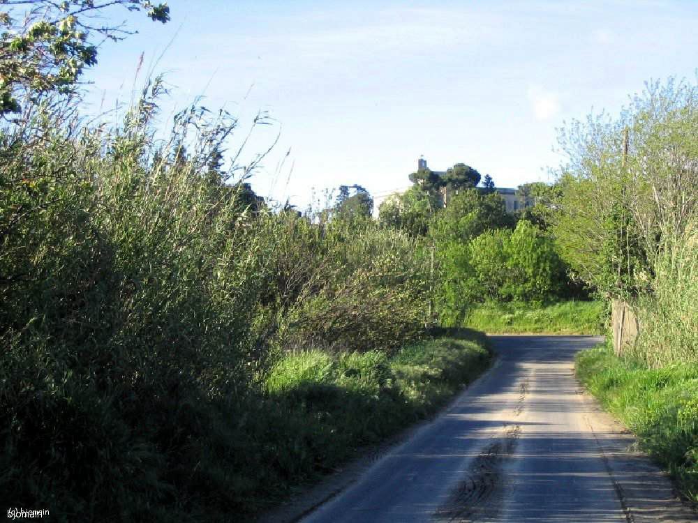 l4.jpg