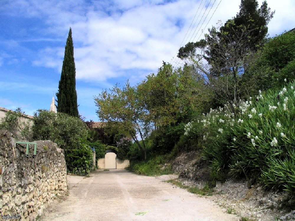 l6.jpg