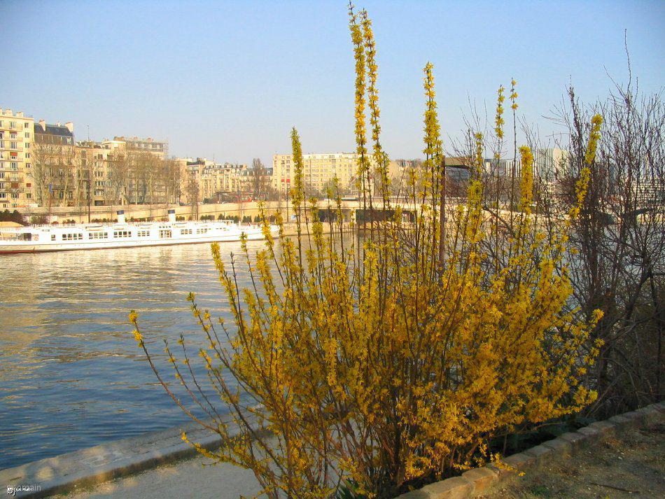 l19.jpg