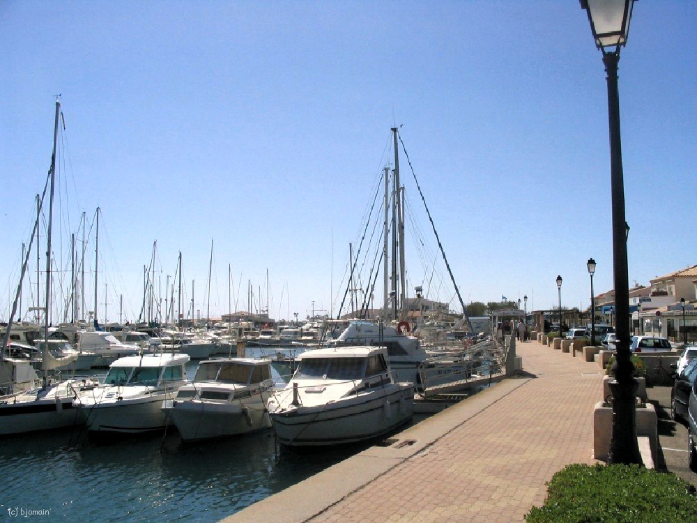 IMG_0843.jpg