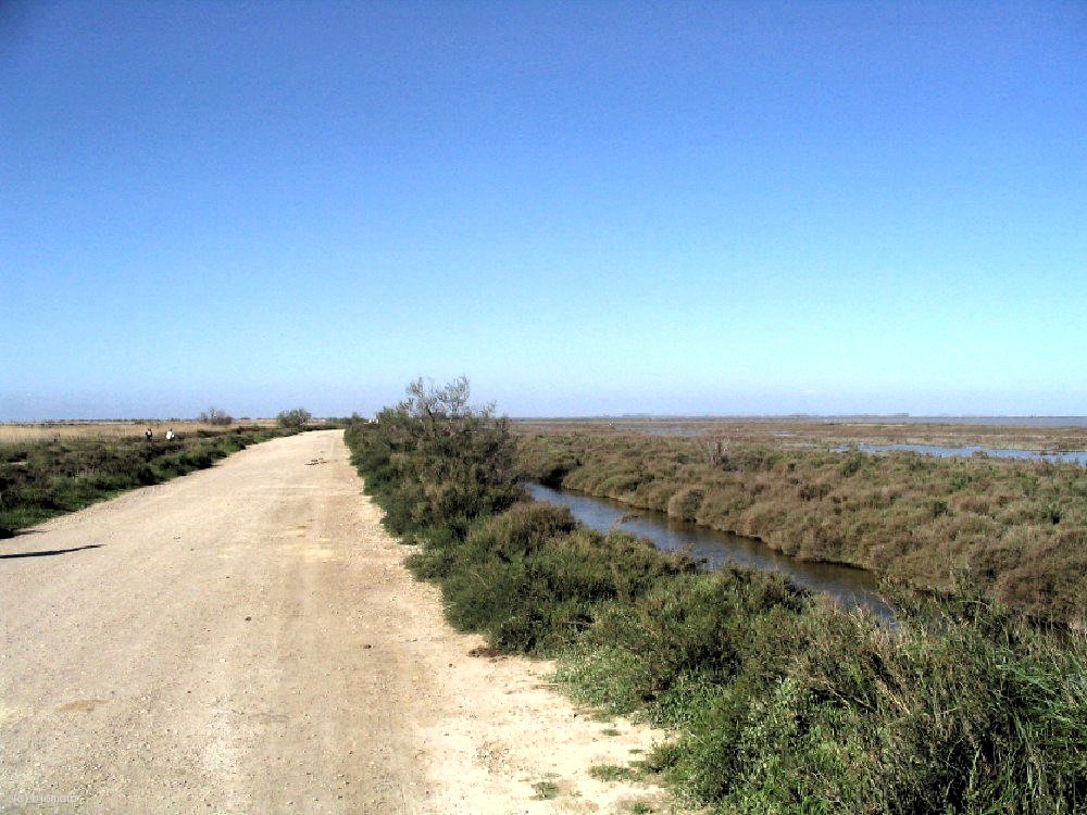 IMG_0853.jpg