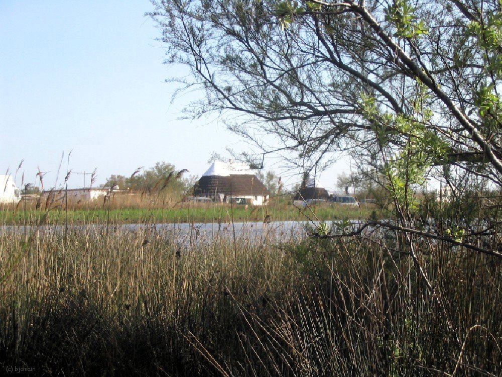 IMG_0866.jpg