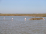 IMG_0851.jpg