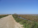 IMG_0853.jpg