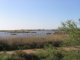 IMG_0858.jpg