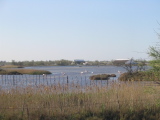 IMG_0859.jpg