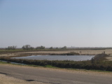 IMG_0863.jpg
