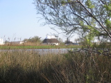 IMG_0866.jpg