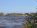 IMG_0867.jpg