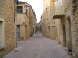 IMG_0892.jpg