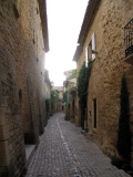 IMG_0895.jpg