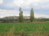 IMG_0722.jpg